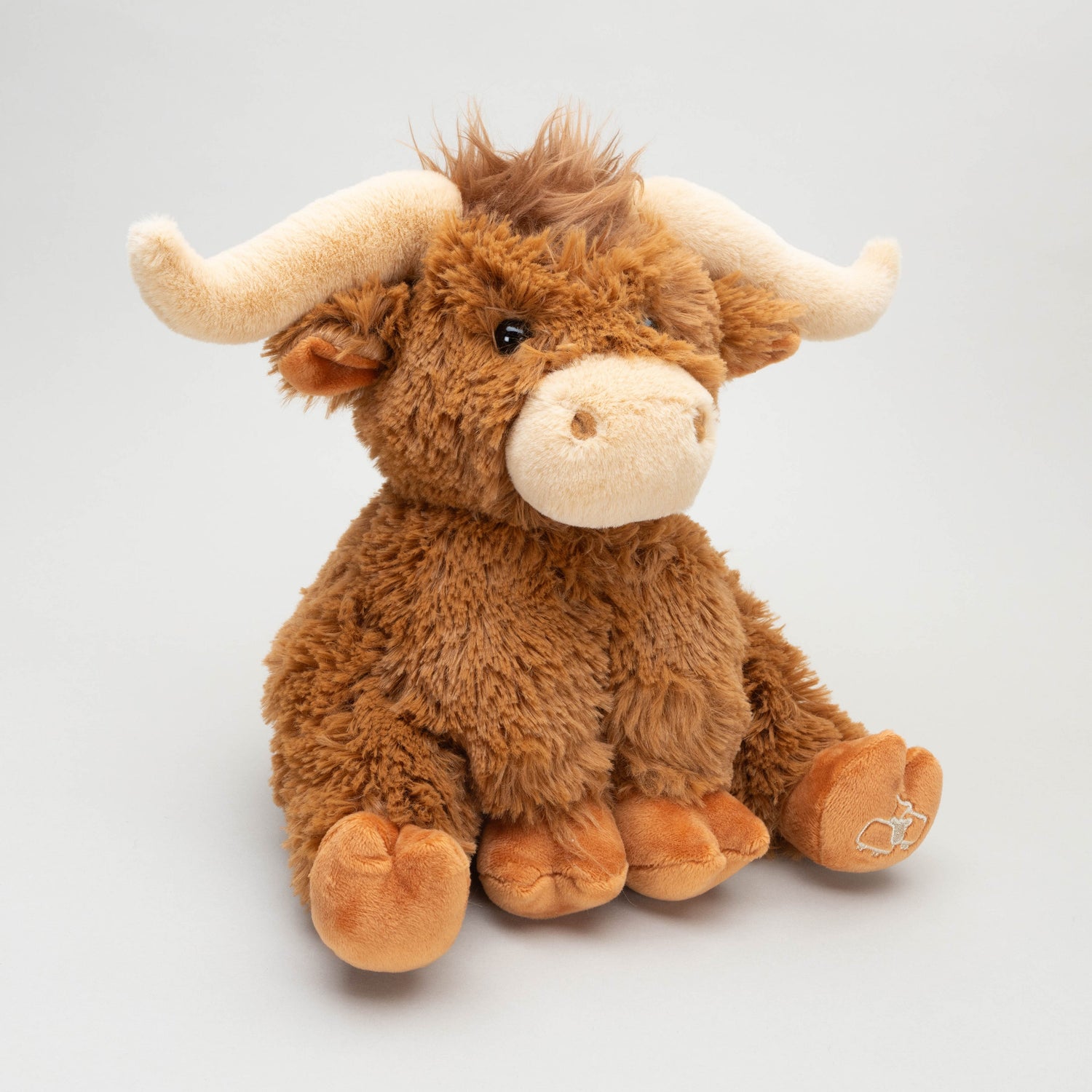 Highland Longhorn