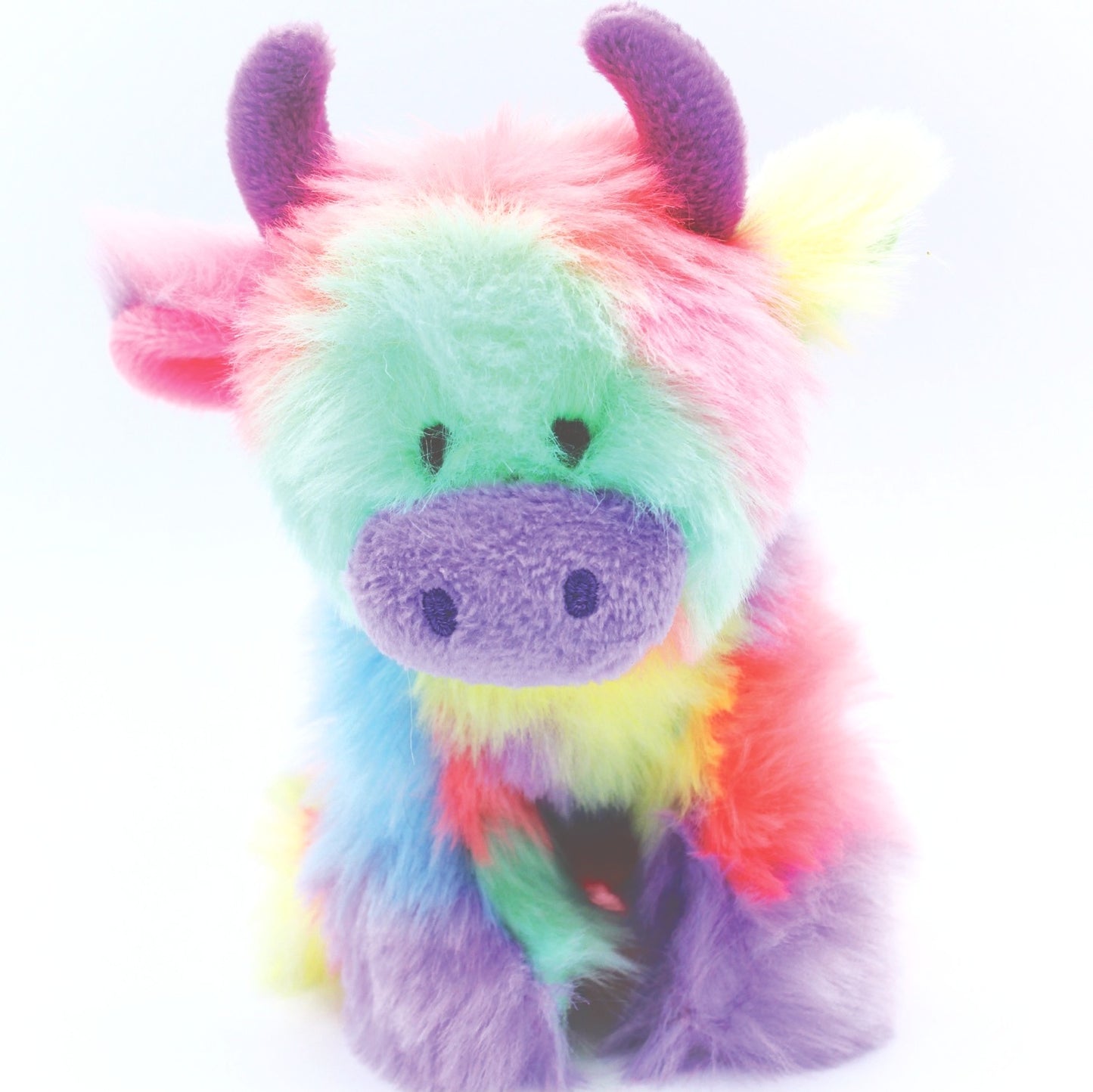Rainbow Mini Highland Cow
