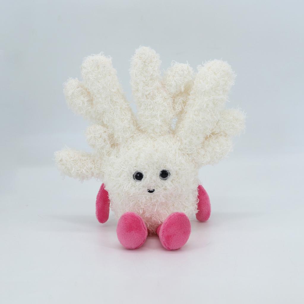 Coral Cream - Pink Feet