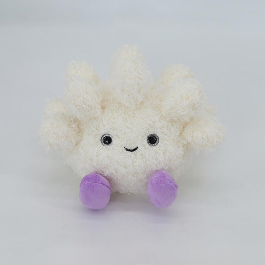 Coral Cream- Purple Feet