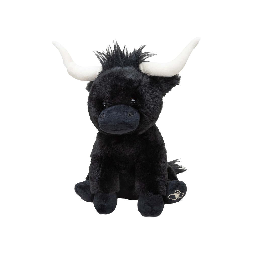 Small Black Longhorn Cow