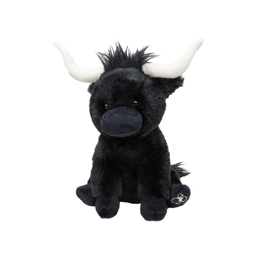 Small Black Longhorn Cow