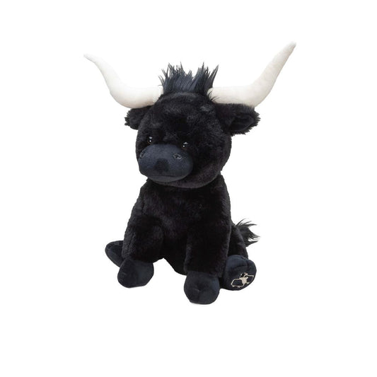 Medium Black Longhorn Cow