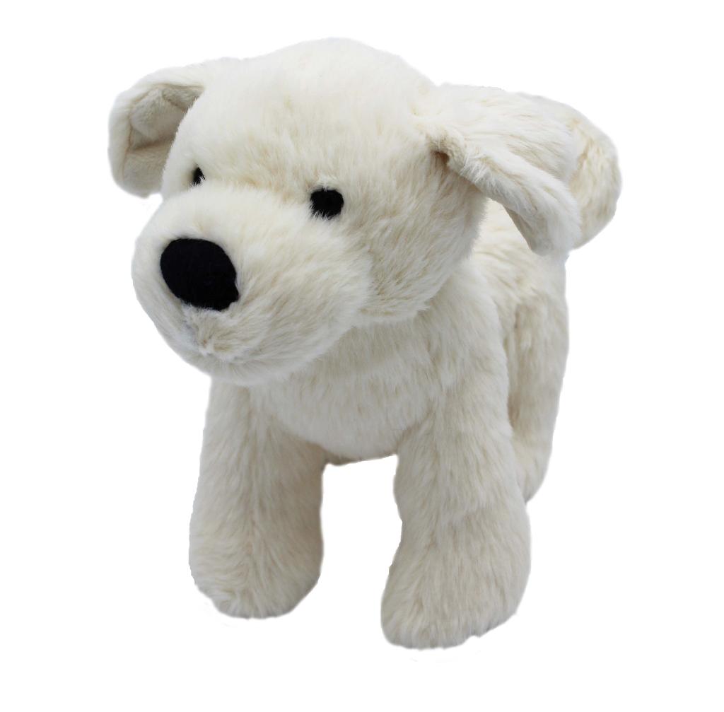 Cream Puppy