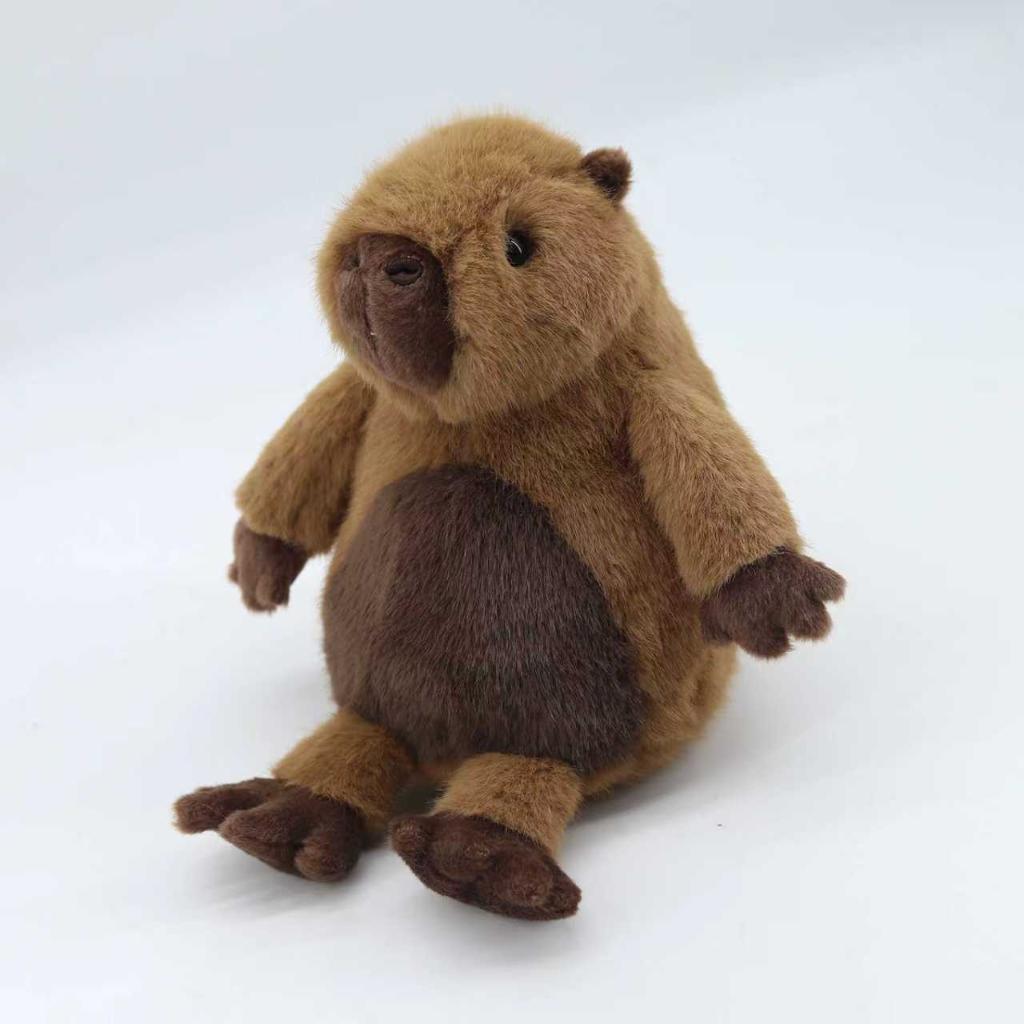 Cabybara-Large