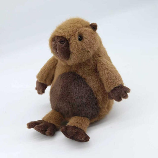 Cabybara-Large