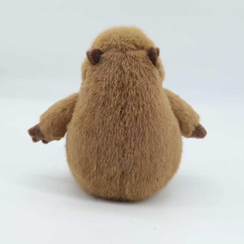 Cabybara-Large