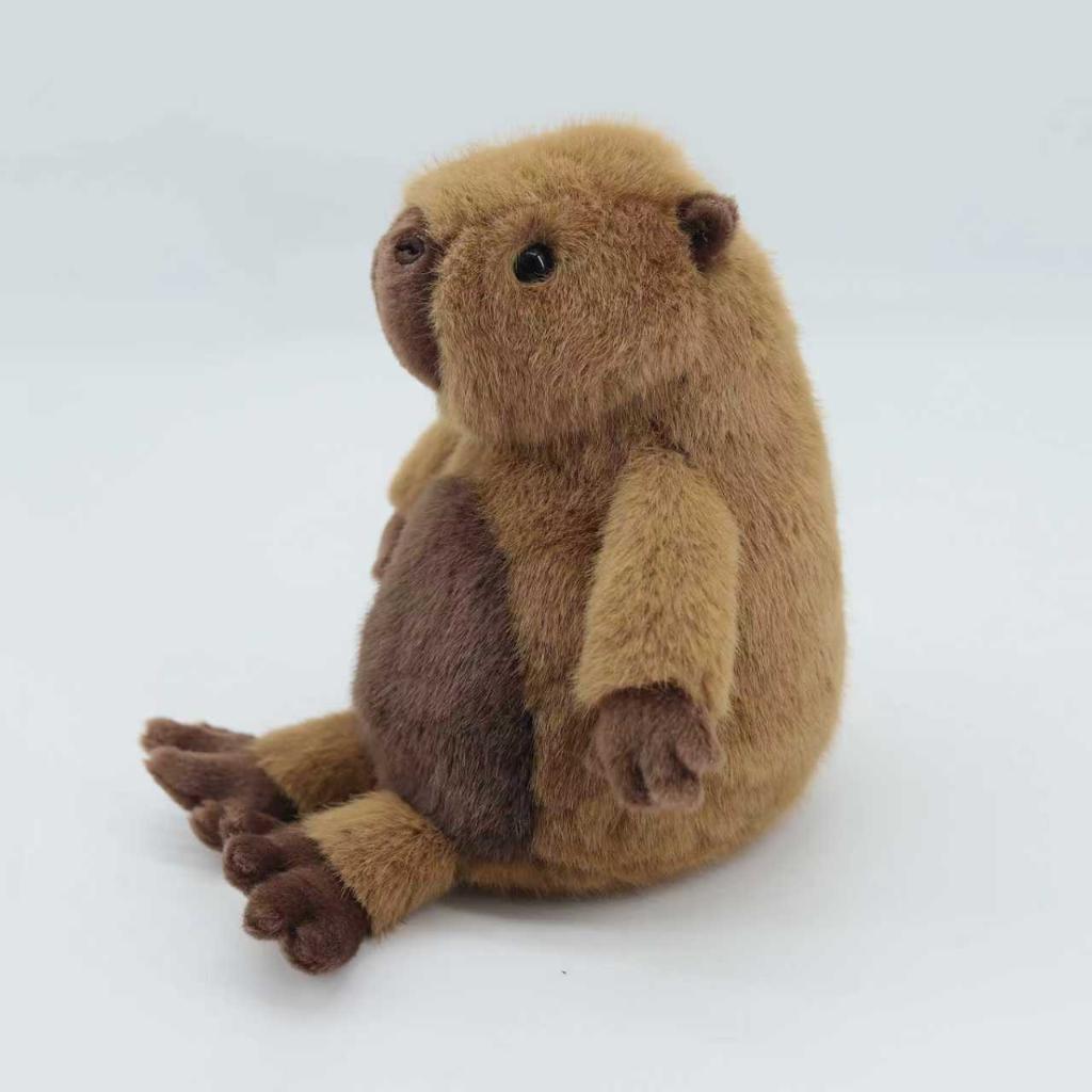Cabybara-Large