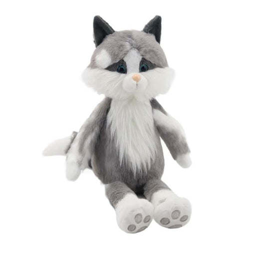 Ragdoll Cat