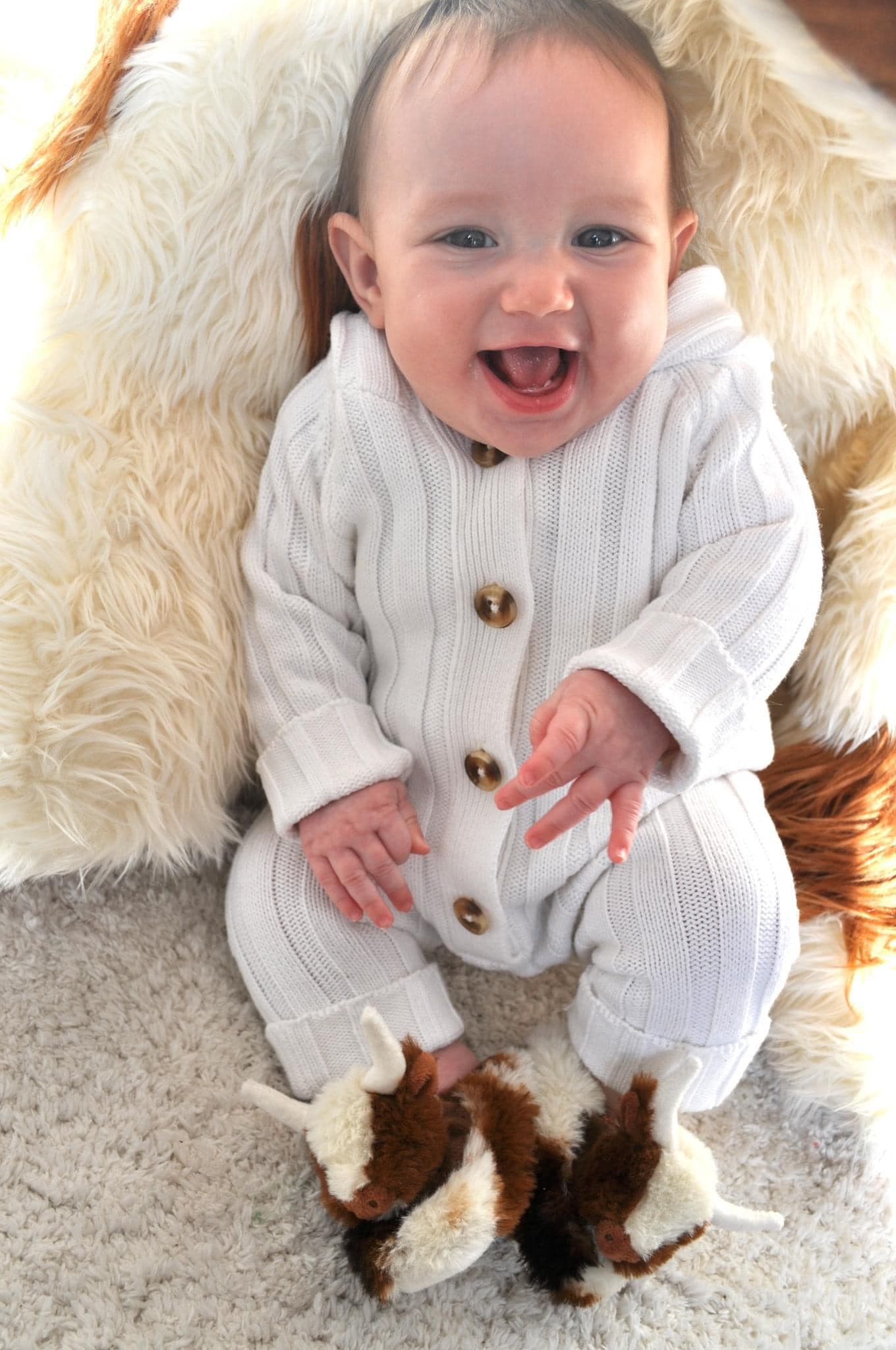 Texas Highland Cow Baby Slippers Cream Brown