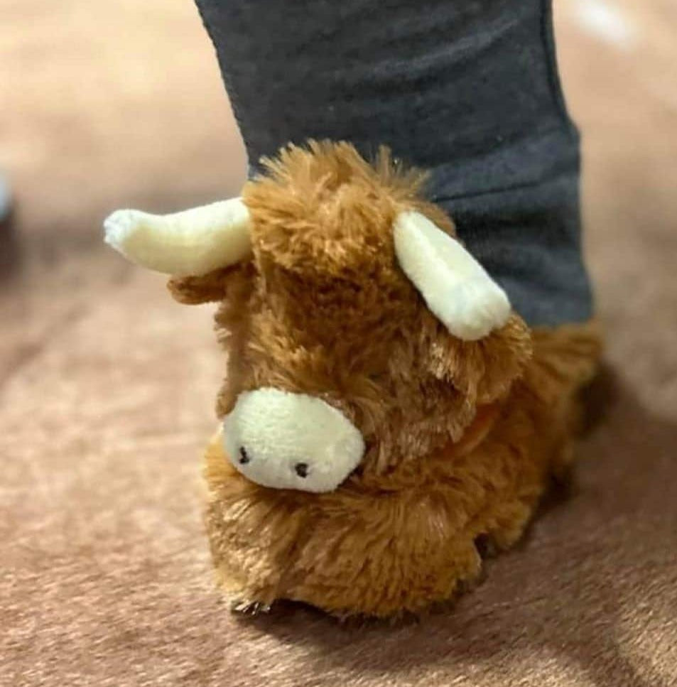 Longhorn Highland Cow Baby Slippers 0-6months