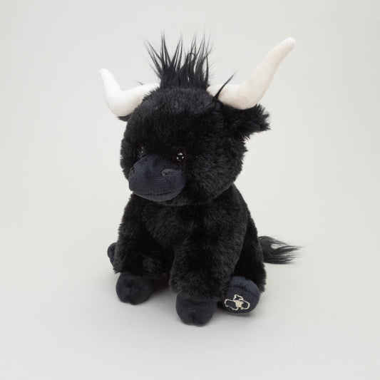 Small Black Longhorn Cow