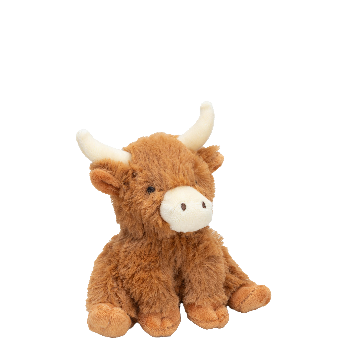 Small Highland Longhorn Cow